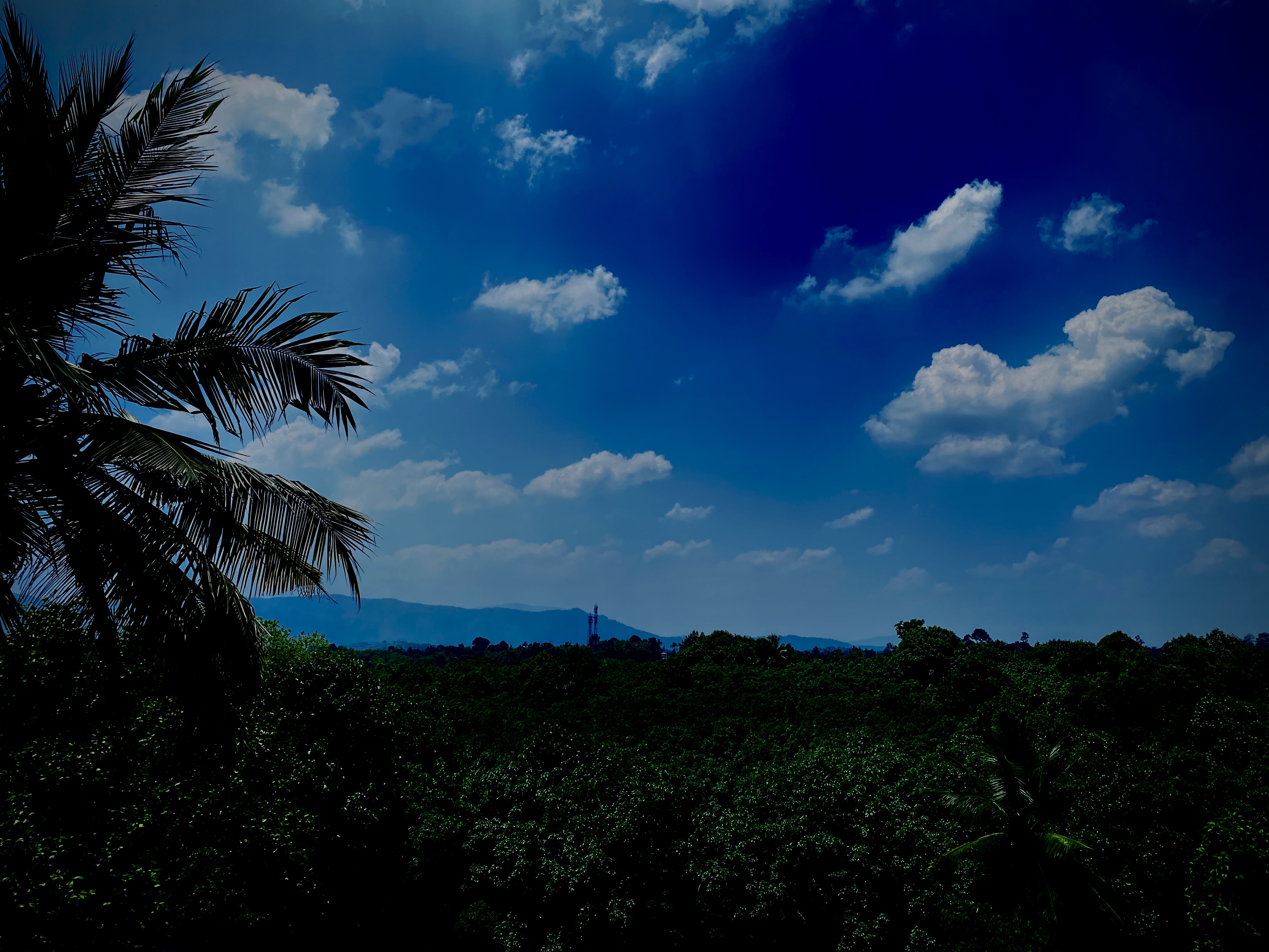 Kerala Blog